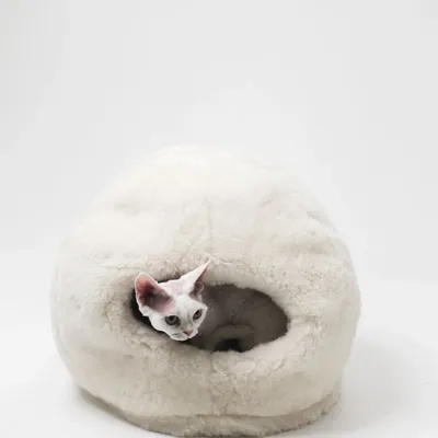 Beds - Nest Natural Sheepskin Pet Bed - White - MELLOW CONCEPT STORE