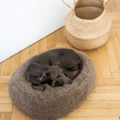 Lits - Lit Ovale pour Animal en Laine Naturelle – Beige - MELLOW CONCEPT STORE