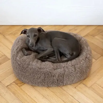 Beds - Oval Natural Wool Pet Bed - Beige - MELLOW CONCEPT STORE