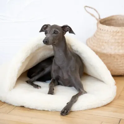 Beds - Natural Wool Pet Cave - White - MELLOW CONCEPT STORE