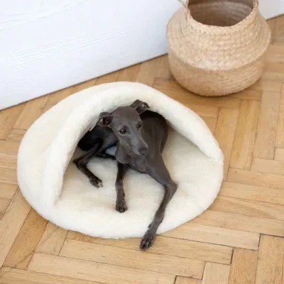 Lits - Grotte pour Animal en Laine Naturelle – Blanche - MELLOW CONCEPT STORE
