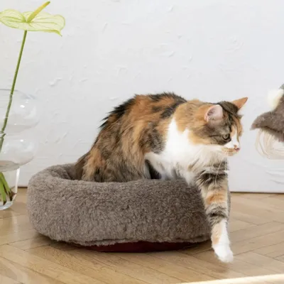 Lits - Lit Rond pour Animal en Laine Naturelle – Beige - MELLOW CONCEPT STORE