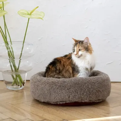 Beds - Round Natural Wool Pet Bed - Beige - MELLOW CONCEPT STORE