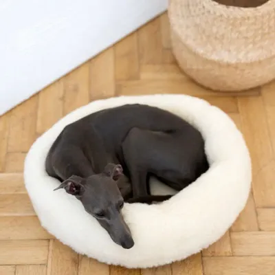 Beds - Round Natural Wool Pet Bed - White - MELLOW CONCEPT STORE