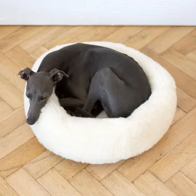 Beds - Round Natural Wool Pet Bed - White - MELLOW CONCEPT STORE