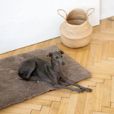 Beds - Square or Rectangular Natural Woolen Pet Mat - Beige - MELLOW CONCEPT STORE