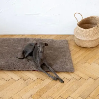 Beds - Square or Rectangular Natural Woolen Pet Mat - Beige - MELLOW CONCEPT STORE