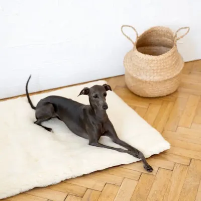 Beds - Square or Rectangular Natural Woolen Pet Mat - White - MELLOW CONCEPT STORE