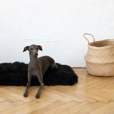 Lits - Tapis Carré ou Rectangulaire en Peau de Mouton Naturelle – Noir - MELLOW CONCEPT STORE