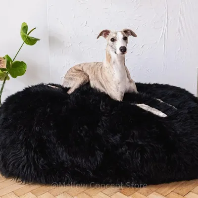 Beds - Oval Natural Sheepskin Pet Bed - Black - MELLOW CONCEPT STORE