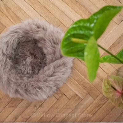 Lits - Lit Rond pour Animal en Peau de Mouton Naturelle - Greige - MELLOW CONCEPT STORE