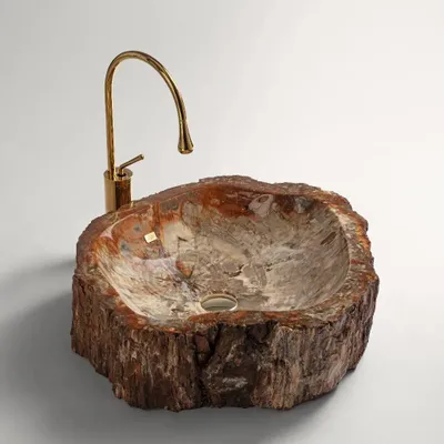 Lave-mains - Petrified wood Basin - PRESTONEX DESIGN PVT LTD