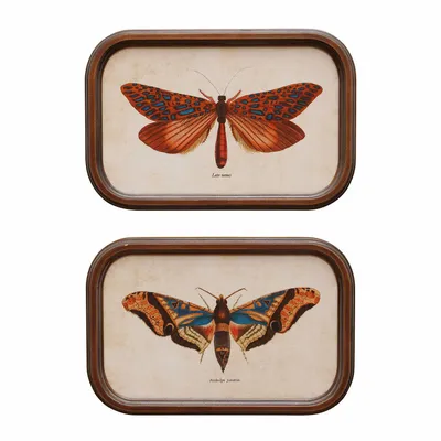Cadres - S/2 cadres Papillons - CHEHOMA