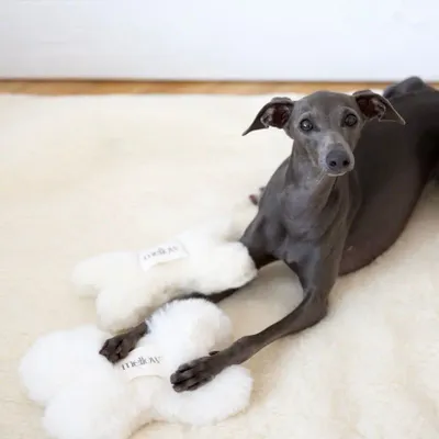Objets de décoration - Jouet pour Chien en Peau de Mouton Naturelle : Os – Blanc - MELLOW CONCEPT STORE