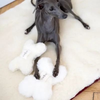 Decorative objects - Natural Woolen Dog Toy - Bone - White - MELLOW CONCEPT STORE