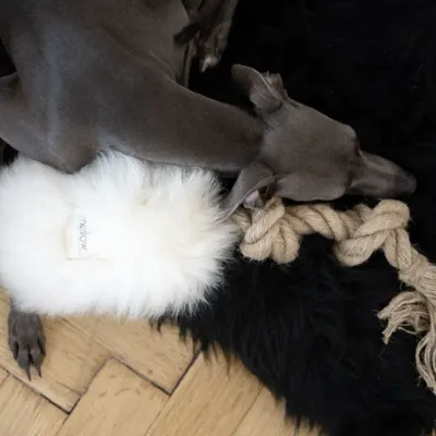 Decorative objects - Natural Sheepskin Dog Tug Toy - White - MELLOW CONCEPT STORE