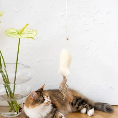 Decorative objects - Natural Sheepskin Cat Toy - Fish - MELLOW CONCEPT STORE