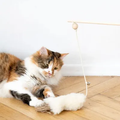Objets de décoration - Jouet pour Chat en Peau de Mouton : Poisson - MELLOW CONCEPT STORE