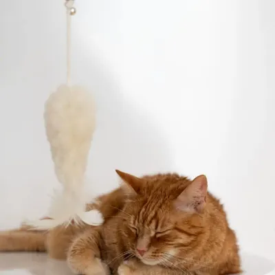 Decorative objects - Natural Woolen Cat Toy - Fish - MELLOW CONCEPT STORE
