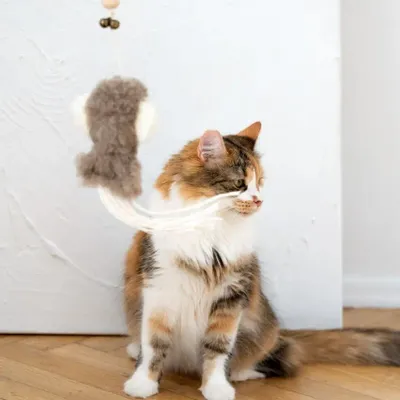 Decorative objects - Natural Sheepskin Cat Toy: Squid - MELLOW CONCEPT STORE