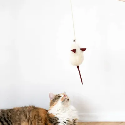 Decorative objects - Natural Woolen Cat Toy: Mouse - MELLOW CONCEPT STORE