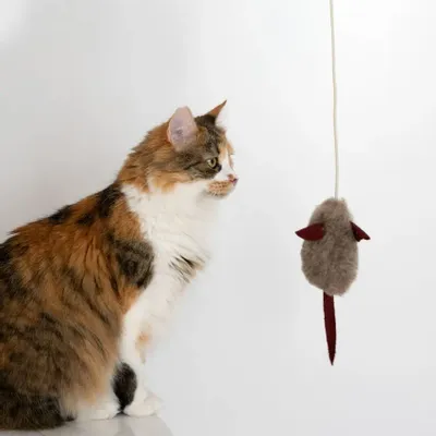 Decorative objects - Natural Woolen Cat Toy: Mouse - MELLOW CONCEPT STORE