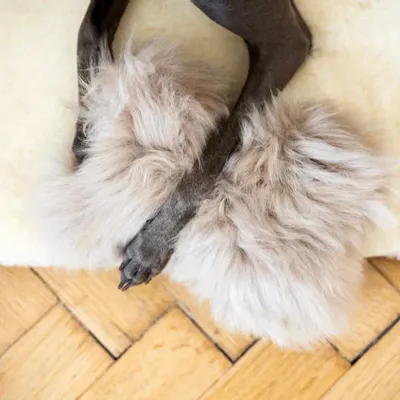 Decorative objects - Natural Sheepskin Dog Toy: Bone - Beige - MELLOW CONCEPT STORE
