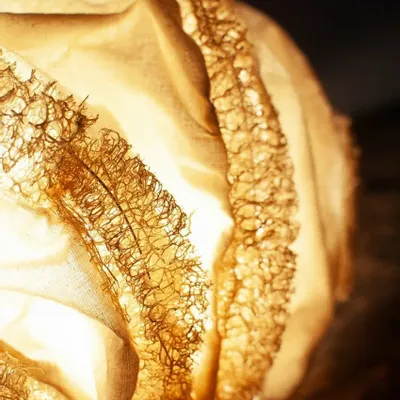 Ceiling lights - Cocoon light pendant - SREPOKK