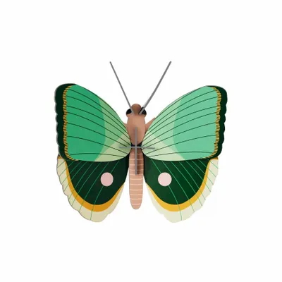 Other wall decoration - Butterflies & Beetles - STUDIO ROOF