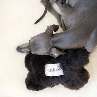 Decorative objects - Natural Sheepskin Dog Toy: Bone - Black - MELLOW CONCEPT STORE