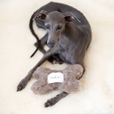 Decorative objects - Natural Woolen Dog Toy: Bone - Charcoal - MELLOW CONCEPT STORE
