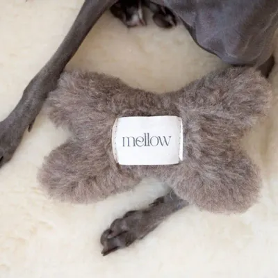 Decorative objects - Natural Woolen Dog Toy: Bone - Beige - MELLOW CONCEPT STORE