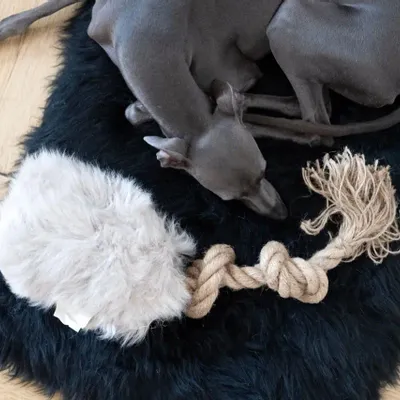 Objets de décoration - Jouet à Tirer en Peau de Mouton Naturelle – Beige - MELLOW CONCEPT STORE