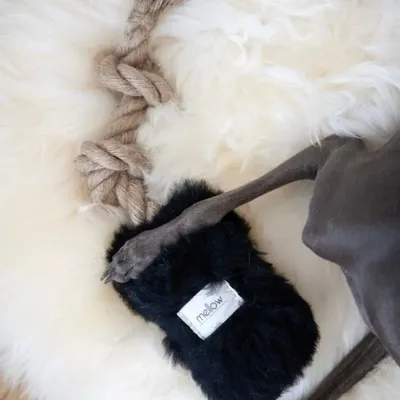 Objets de décoration - Jouet à Tirer en Peau de Mouton Naturelle – Noir - MELLOW CONCEPT STORE