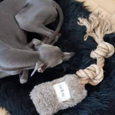 Objets de décoration - Jouet à Tirer en Laine Naturelle – Beige - MELLOW CONCEPT STORE
