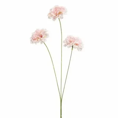 Décorations florales - Spray au dianthus - EMERALD ETERNAL GREEN BV