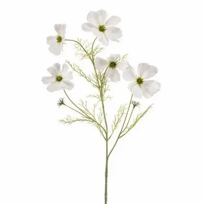 Décorations florales - Spray Cosmos - EMERALD ETERNAL GREEN BV