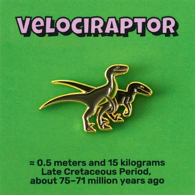 Broches - Vélociraptor à épingles - PINPINPIN.IT
