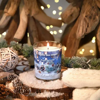 Scent diffusers - SNOWY PINECONE - LOTHANTIQUE
