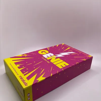 Papeterie - Eclair de génie - MIRALUDO