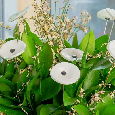 Floral decoration - Round glass flower for outdoor in white colour - CARNEOL GLASS