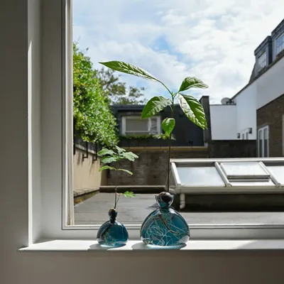 Vases - Avocado Vase and Acorn Vase NEW JAY BLUE color - ILEX STUDIO