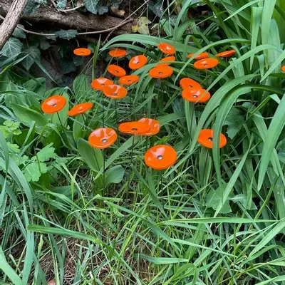 Garden accessories - Orange Round small glass flower for outdoor use - CARNEOL GLASS