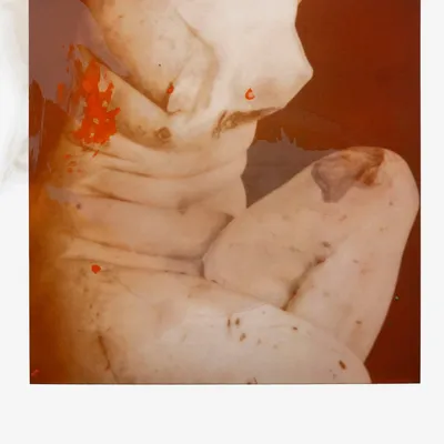 Objets de décoration - François Halard : Art et fleurs - NEW MAGS