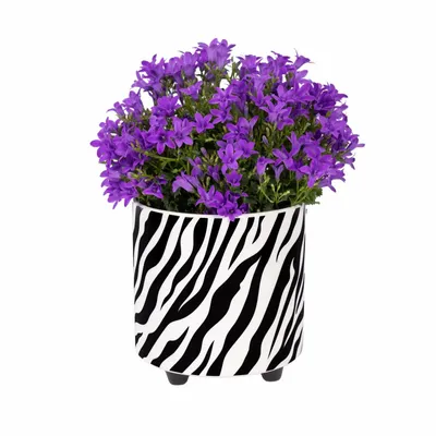 Vases - PLANT POT - FISURA