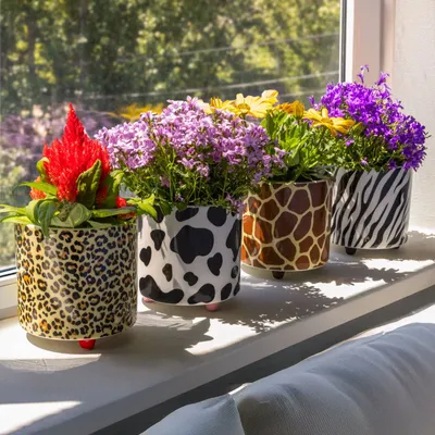 Vases - PLANT POT - FISURA