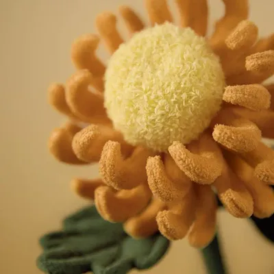 Autres objets connectés  - WENTONGZI - CREATE HANGZHOU