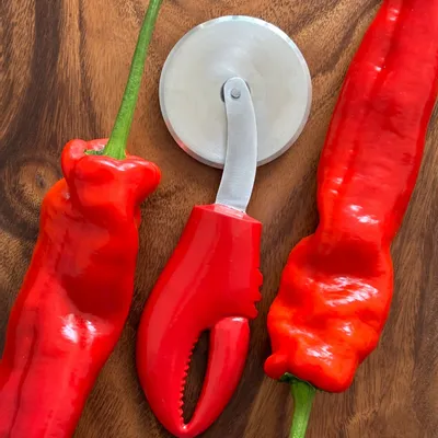 Knives - Pizza cutter wheel lobster leg - Studio Noticed - STUDIO NOTICED