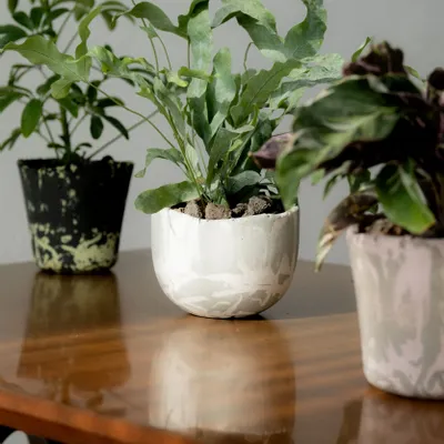 Vases - [ANU] Bol et pot pour plantes - SEOUL DESIGN FOUNDATION