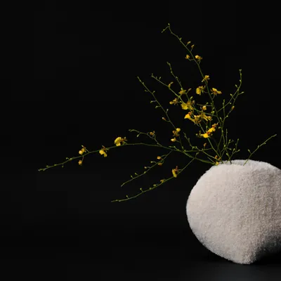 Vases - [AAROC] Pelong Moon Jar Vase Cover - SEOUL DESIGN FOUNDATION